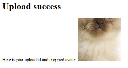 Upload result page